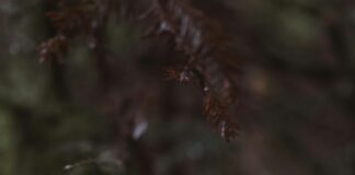 Responsive Tasarım Testinde Dikkat Edilmesi Gerekenler: İpuçları