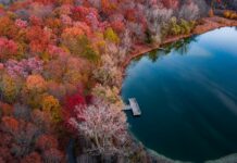 Özel Yazılım mı Hazır Paket mi Tercih Edilmeli? Doğru Seçim!
