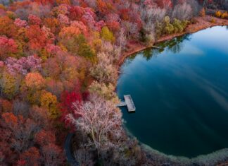 Özel Yazılım mı Hazır Paket mi Tercih Edilmeli? Doğru Seçim!