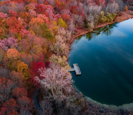 Özel Yazılım mı Hazır Paket mi Tercih Edilmeli? Doğru Seçim!