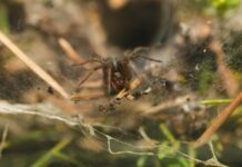 Web Uygulama Geliştirmenin Temelleri: Başarılı Projeler İçin İpuçları