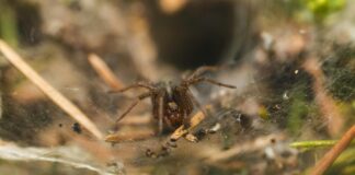 Web Uygulama Geliştirmenin Temelleri: Başarılı Projeler İçin İpuçları