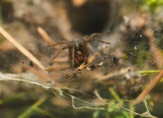 Web Uygulama Geliştirmenin Temelleri: Başarılı Projeler İçin İpuçları