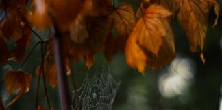 Kurumsal Web Tasarımı Neden Önemlidir? İşinizi Büyütün!