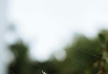 Web Tasarım Projelerinde Brief Hazırlama Rehberi: Başarının Anahtarı