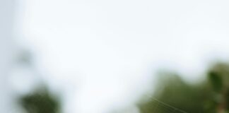 Dinamik Web Siteleri ile İçerik Yönetimini Kolaylaştırın, Nasıl?