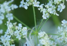 Web Sitesi Güncelleme Neden İhmal Edilmemeli? İşte Cevaplar!