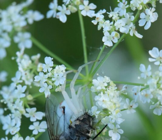Web Sitesi Güncelleme Neden İhmal Edilmemeli? İşte Cevaplar!