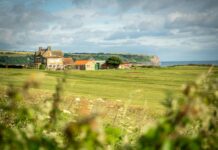 E-Ticaret Sitesi Güvenliği Nasıl Sağlanır? İşte Etkili Yöntemler!