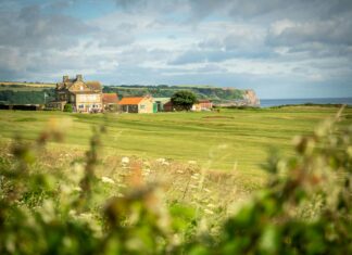 E-Ticaret Sitesi Güvenliği Nasıl Sağlanır? İşte Etkili Yöntemler!