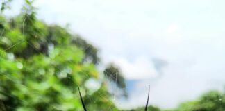 Kurumsal Web Sitesi İçin SSL Sertifikası Zorunlu Mu? Cevabı Burada!