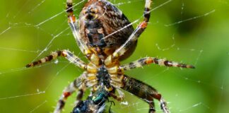 Web Tasarımda Tipografi Seçimi: Hangi Fontlar Etkili Olur?