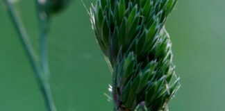 Web Sitesi İçin Güvenlik Duvarı (WAF) Kurulumu Neden Önemli?