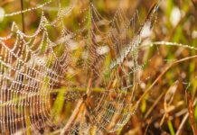 Web Tasarım Ajansı Seçerken Sorulacak Sorular Neler Olmalı?