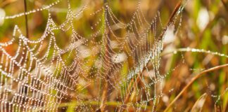 Web Tasarım Ajansı Seçerken Sorulacak Sorular Neler Olmalı?