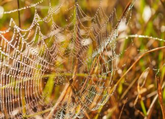 Web Tasarım Ajansı Seçerken Sorulacak Sorular Neler Olmalı?