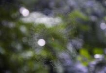 Web Uygulamalarında Oturum Yönetimi: Kullanıcı Deneyimini Artırın