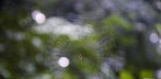 Web Sitesi Güncelleme Takvimi Oluşturma İle Başarıyı Yakala!