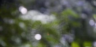 Web Sitesi Güncelleme Takvimi Oluşturma İle Başarıyı Yakala!