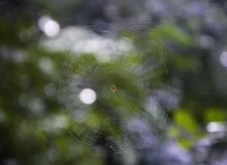 Web Sitesi Güncelleme Takvimi Oluşturma İle Başarıyı Yakala!