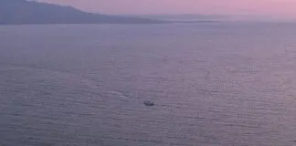 E-Ticaret Sitesi Raporlama ve Analiz Paneli İle Başarıyı Yakala