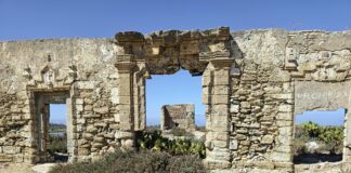 Site Hızı Ölçüm Araçları Karşılaştırması: Hangi Araç Daha İyi?