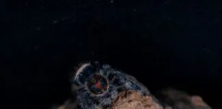 Web Tasarımında Görsel Boyutlandırma Teknikleriyle Etkileyin