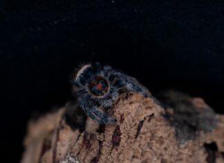 Web Tasarımında Görsel Boyutlandırma Teknikleriyle Etkileyin