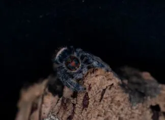 Web Tasarımında Görsel Boyutlandırma Teknikleriyle Etkileyin