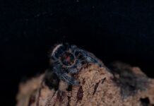 Web Tasarım Projelerinde Hedef Kitle Analizi: Başarı İçin İpuçları