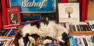 Özel Yazılım Projelerinde Maliyet Hesaplama: Etkili Yöntemler Nelerdir?