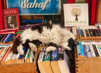 Özel Yazılım Projelerinde Maliyet Hesaplama: Etkili Yöntemler Nelerdir?