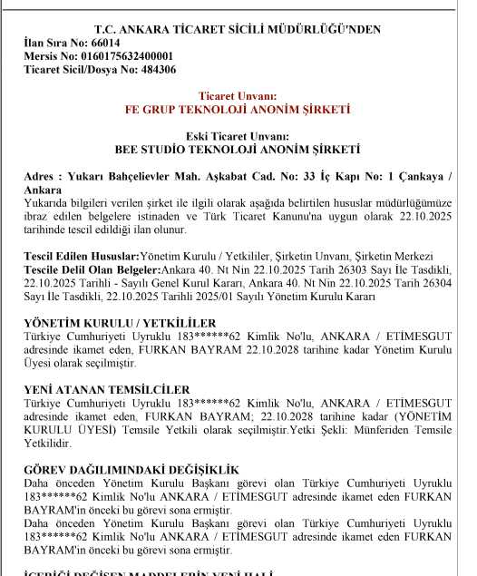Bee Studio Teknoloji ile Yaşadığım Acı Deneyim: Bir Yazılım Projesinin 12 Aylık Mağduriyet Hikayesi 5 feegrup-teknoloji